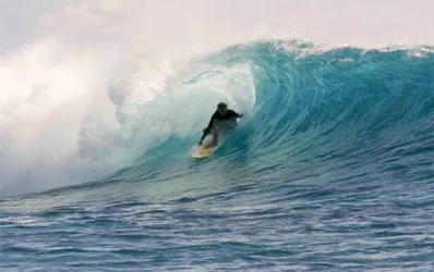 My media alt attribute