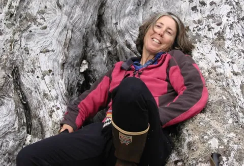 My media alt attribute