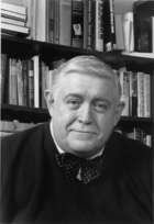 My media alt attribute