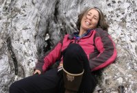 My media alt attribute